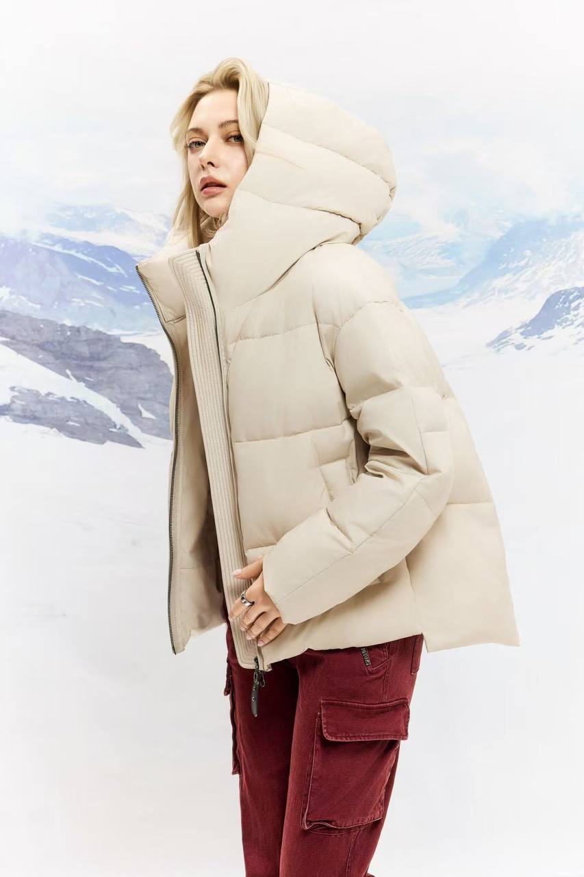 accb2444-50d1-11f0-b1c8-7427ea259edf